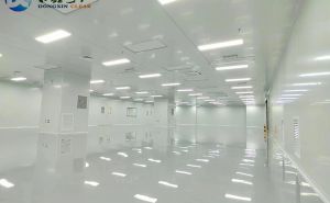 新能源無塵車間，打造高生產(chǎn)新標(biāo)桿【東鑫凈化】